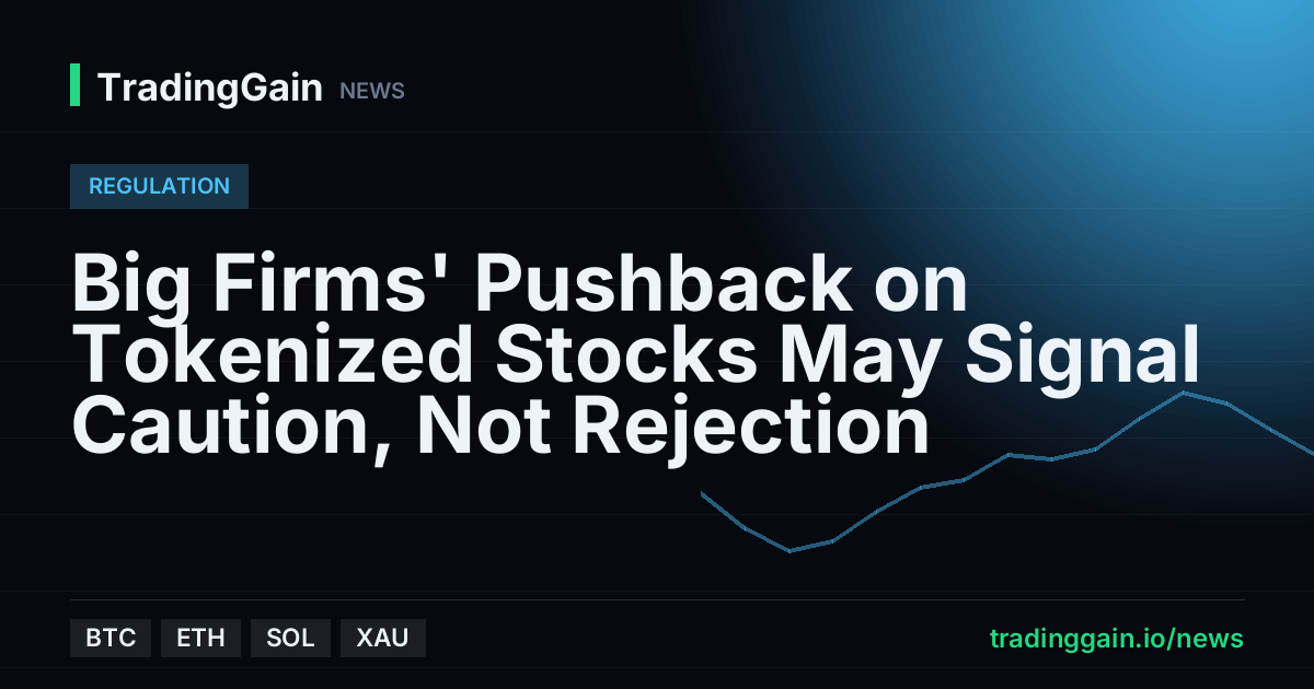 Big Firms' Pushback on Tokenized Stocks May Signal Caution, Not Rejection