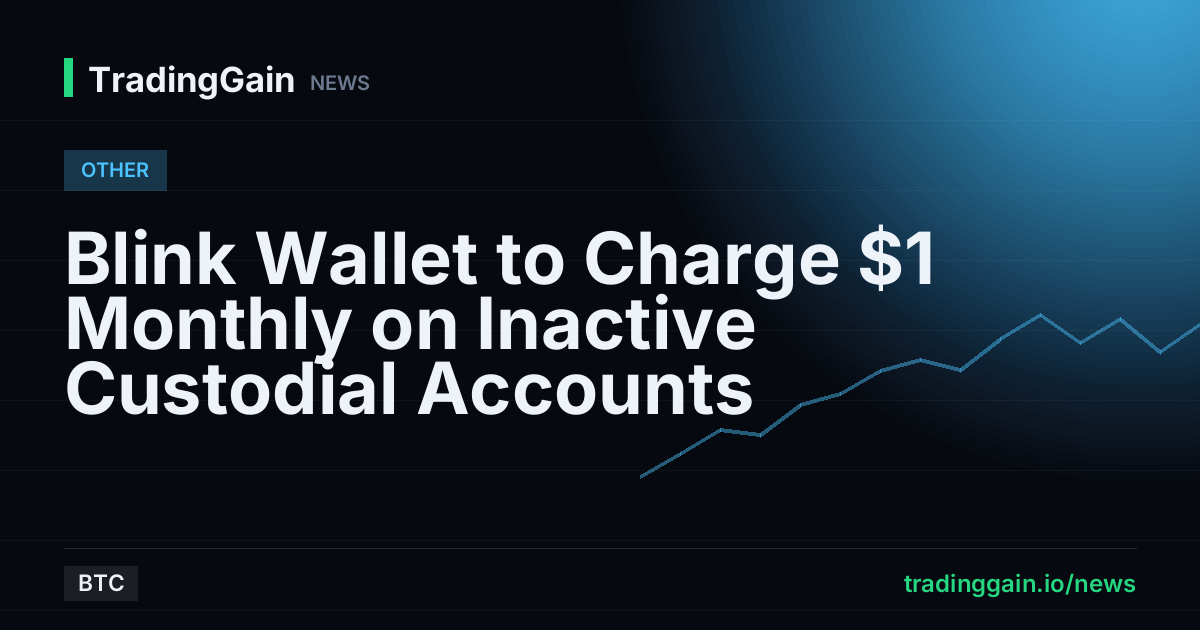 Blink Wallet to Charge $1 Monthly on Inactive Custodial Accounts