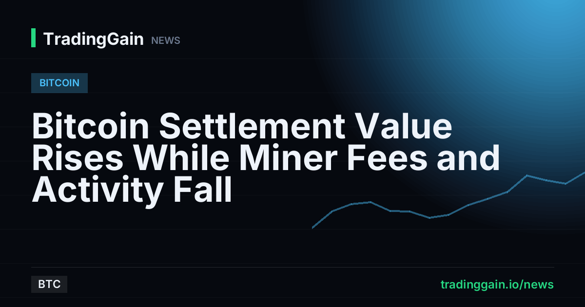 Bitcoin Settlement Value Rises While Miner Fees and Activity Fall
