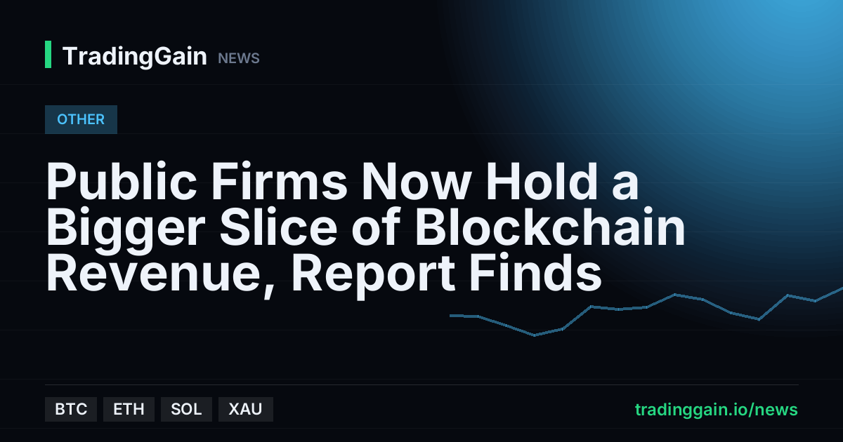 Public Firms Now Hold a Bigger Slice of Blockchain Revenue, Report Finds