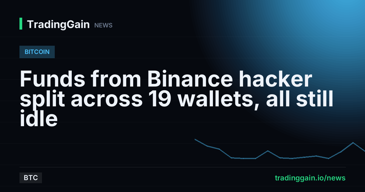 Funds from Binance hacker split across 19 wallets, all still idle